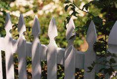 landscaping fence make striking impact in garden design